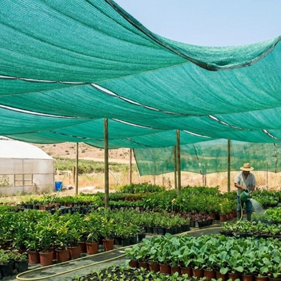 Professional shade nets setup in Vijayawada