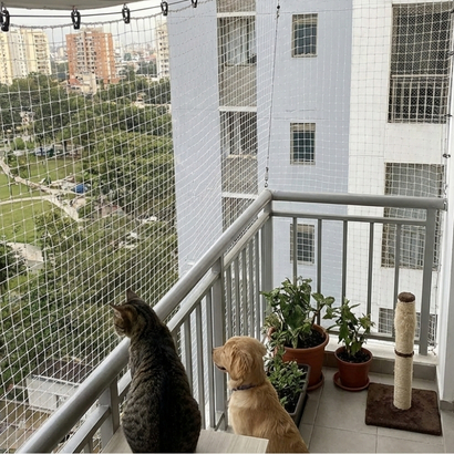 Cat safety nets installation in Vijayawada