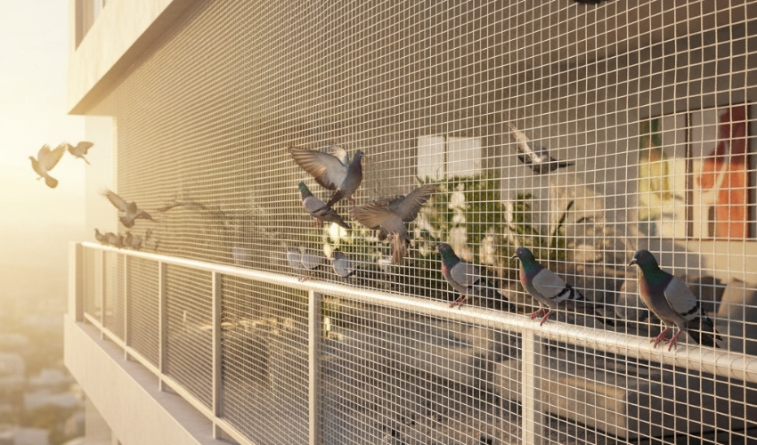 Building Bird Nets Installation in Vijayawada